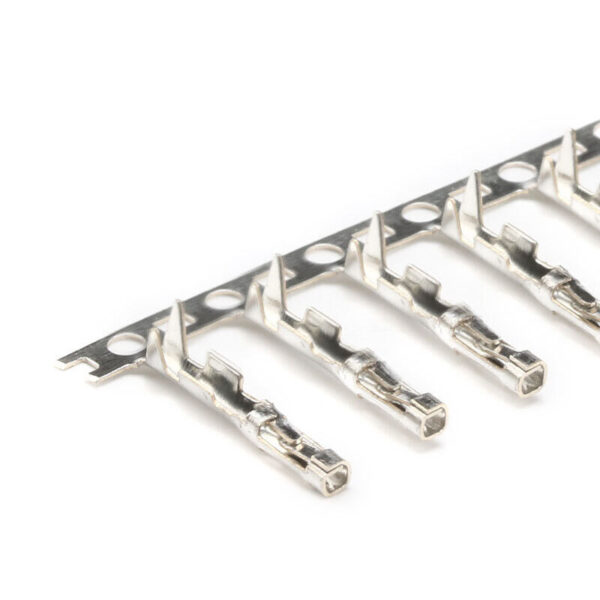 Male / Female Dupont Connector