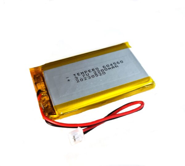 604560 Lithium ion polymer Battery