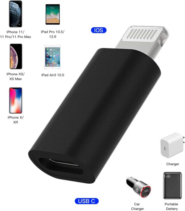 USB C Female to Lightning Male Adapter