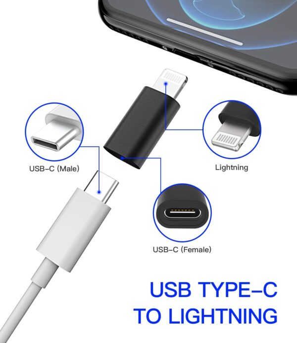 USB C Female to Lightning Male Adapter