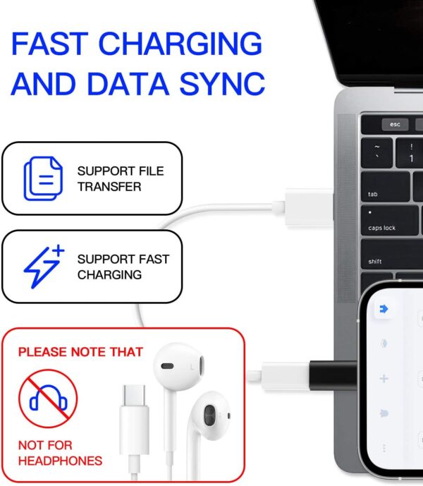 USB C Female to Lightning Male Adapter