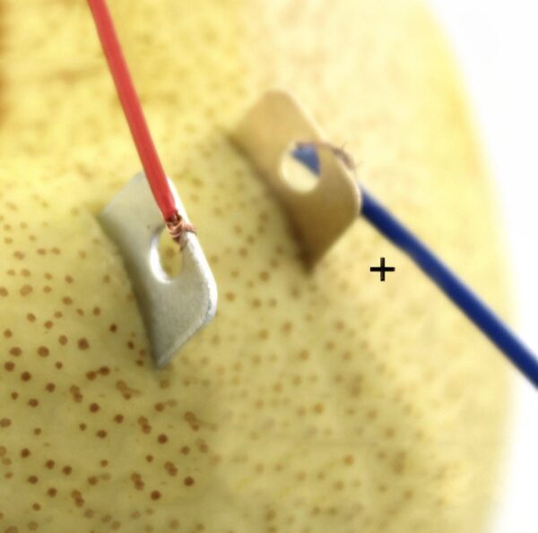 Potato Science Experiment Kit