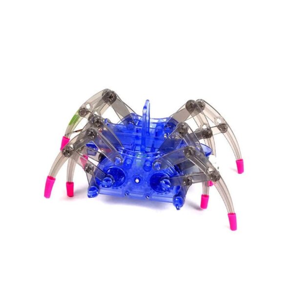 STEM Spider Robot